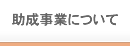 助成事業